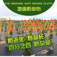 果园防鸟网价格 果园防鸟网公司 图片 视频