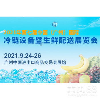 上海 