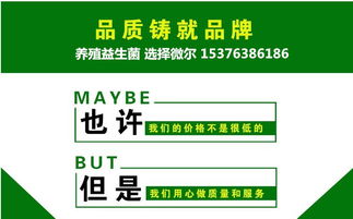 【动物饲料益生菌厂供应养殖益生菌】- 