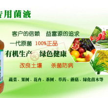 高清图片