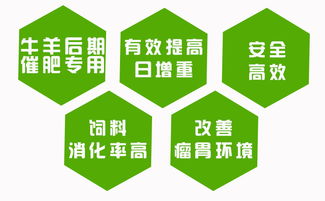 漯河牛催肥添加剂 .牛用添加剂